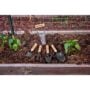 Wooden Handle Transplanter – Corona